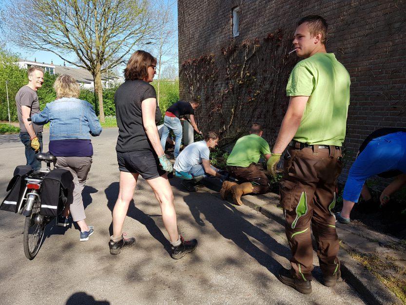 Het Sticht in Baggelhuizen opnieuw beplant