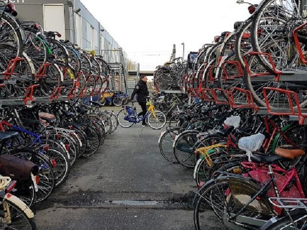 Weesfietsen bij station worden verwijderd