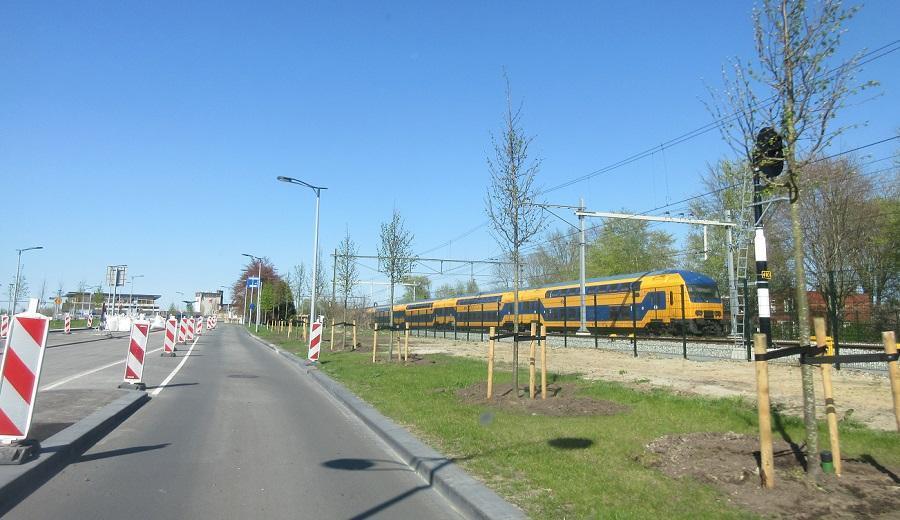 Veel nieuwe bomen langs Stadsboulevard