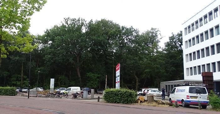 Bomen maken plaats voor parkeerruimte Stationsstraat