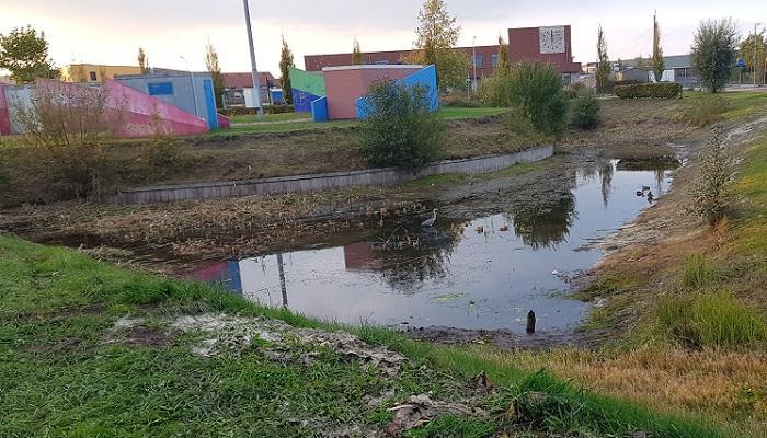 Waterstand vijvers en kanalen in Kloosterveen zeer laag