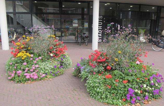 Bloembakken in Assen staan er weer goed bij