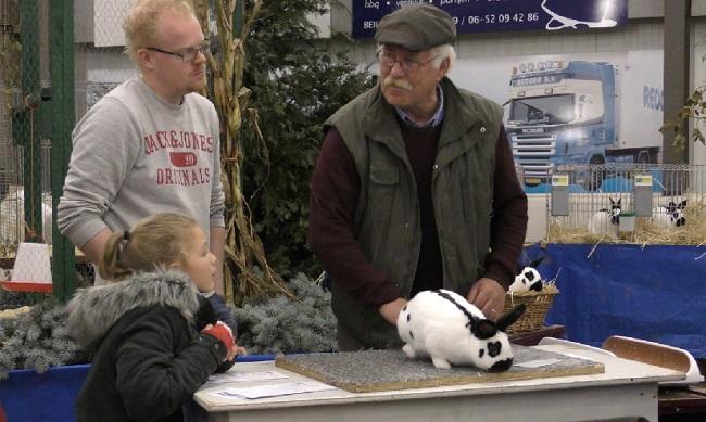 Grote opkomst bij kleindierenshow Midden Drenthe (Video)