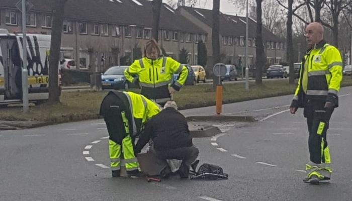 Dierenambulance redt steenmarter in Marsdijk