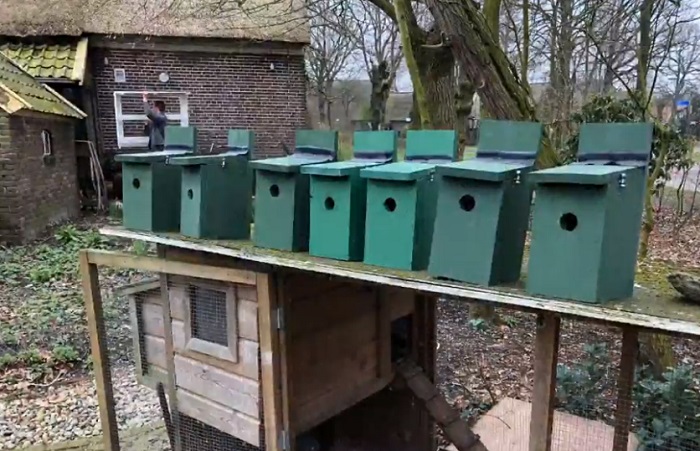 Nestkasten voor groepsaccommodatie Boerderij het Stroomdal