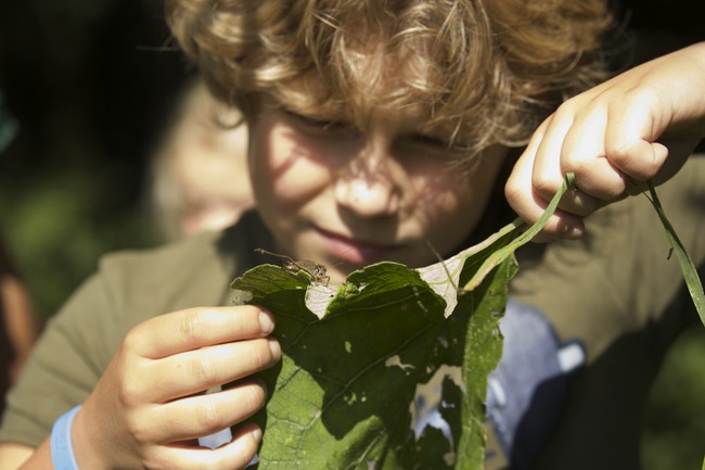 IVN Noord gaat op zoek naar kinderdirecteur