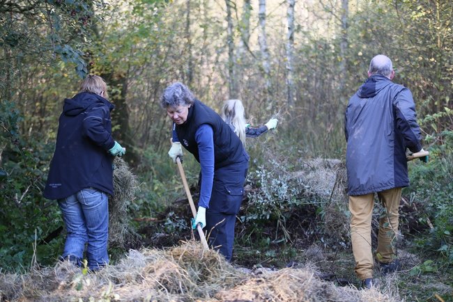 Natuurwerkdag 2019: samen aan de slag voor de biodiversiteit