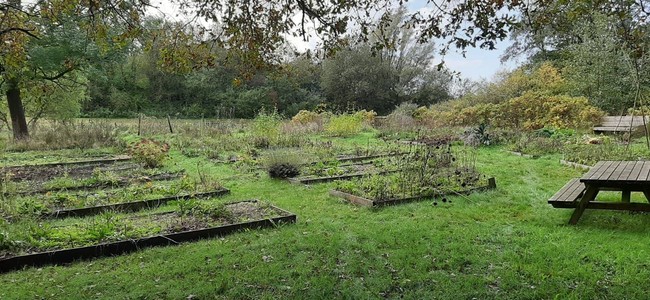 Buurtmoestuin TTuin in Assen heeft een aantal plekken vrij 