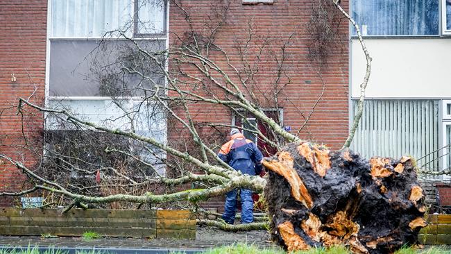 Boom valt tegen woning in Assen (Video)