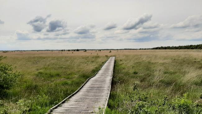 Wageningen University start onderzoek naar beleving van het Fochteloërveen