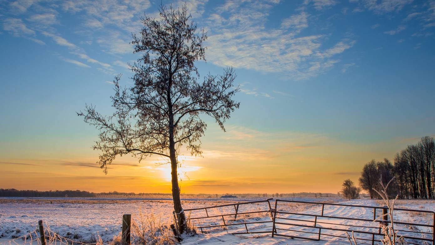 Drenthe heeft grote kans op een witte wereld morgen