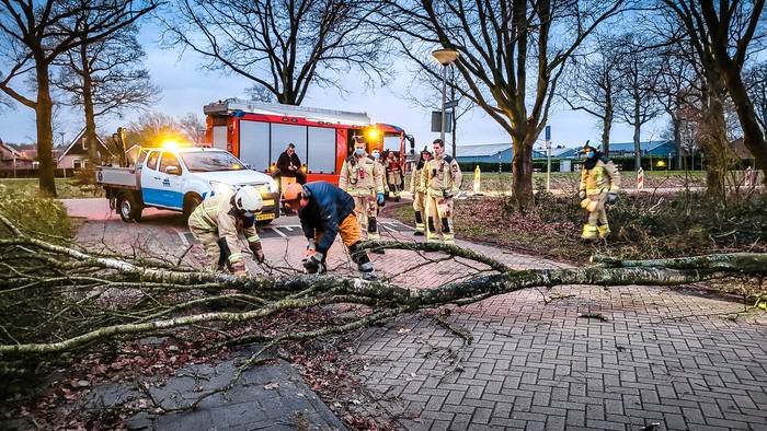 Boom waait over de weg in Assen