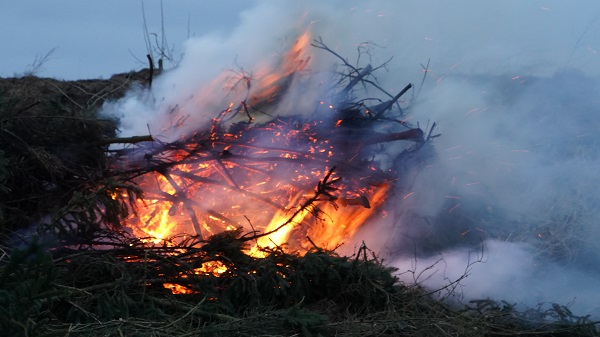 Forse buitenbrand in grote bult met takken net buiten Assen