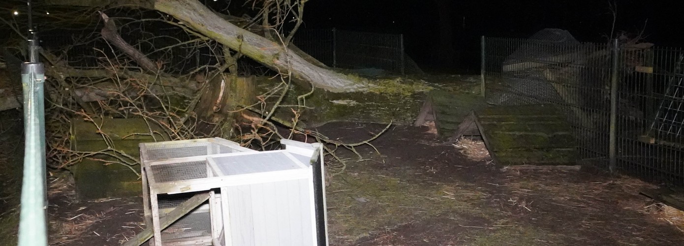 Vallende boom raakt konijnenhokken op kinderboerderij