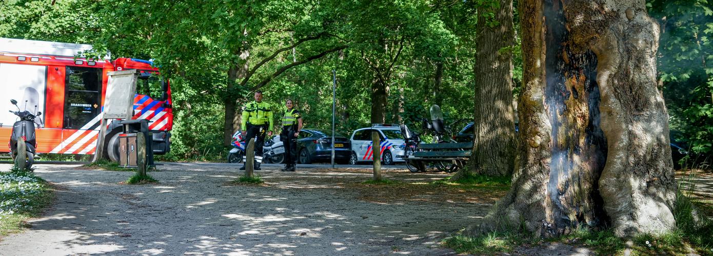 Jongeren steken boom in brand in Asserbos