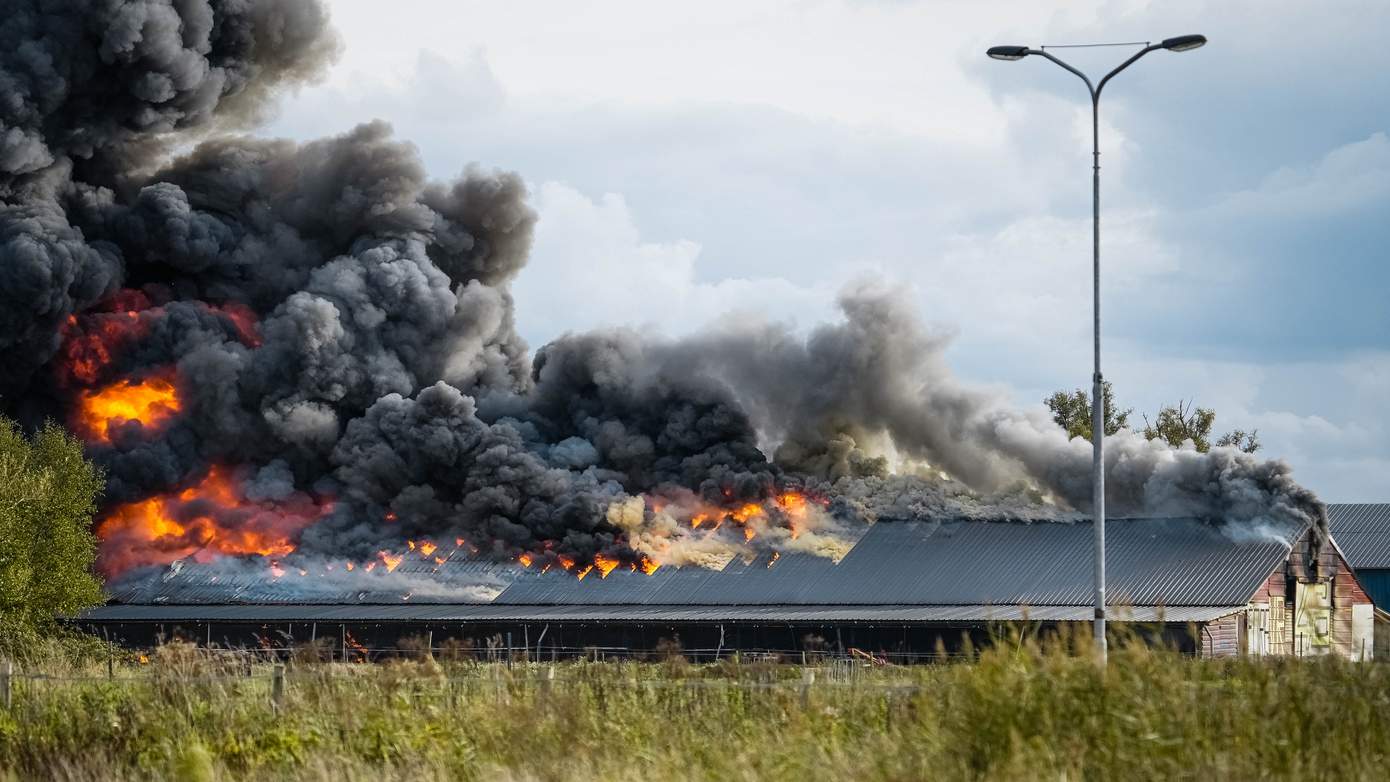 Tienduizenden kippen omgekomen bij grote uitslaande brand in Assen (Video)