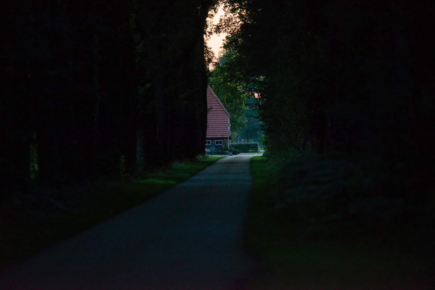 Nacht van de Nacht: Avontuurlijke wandeltocht door het Asserbos