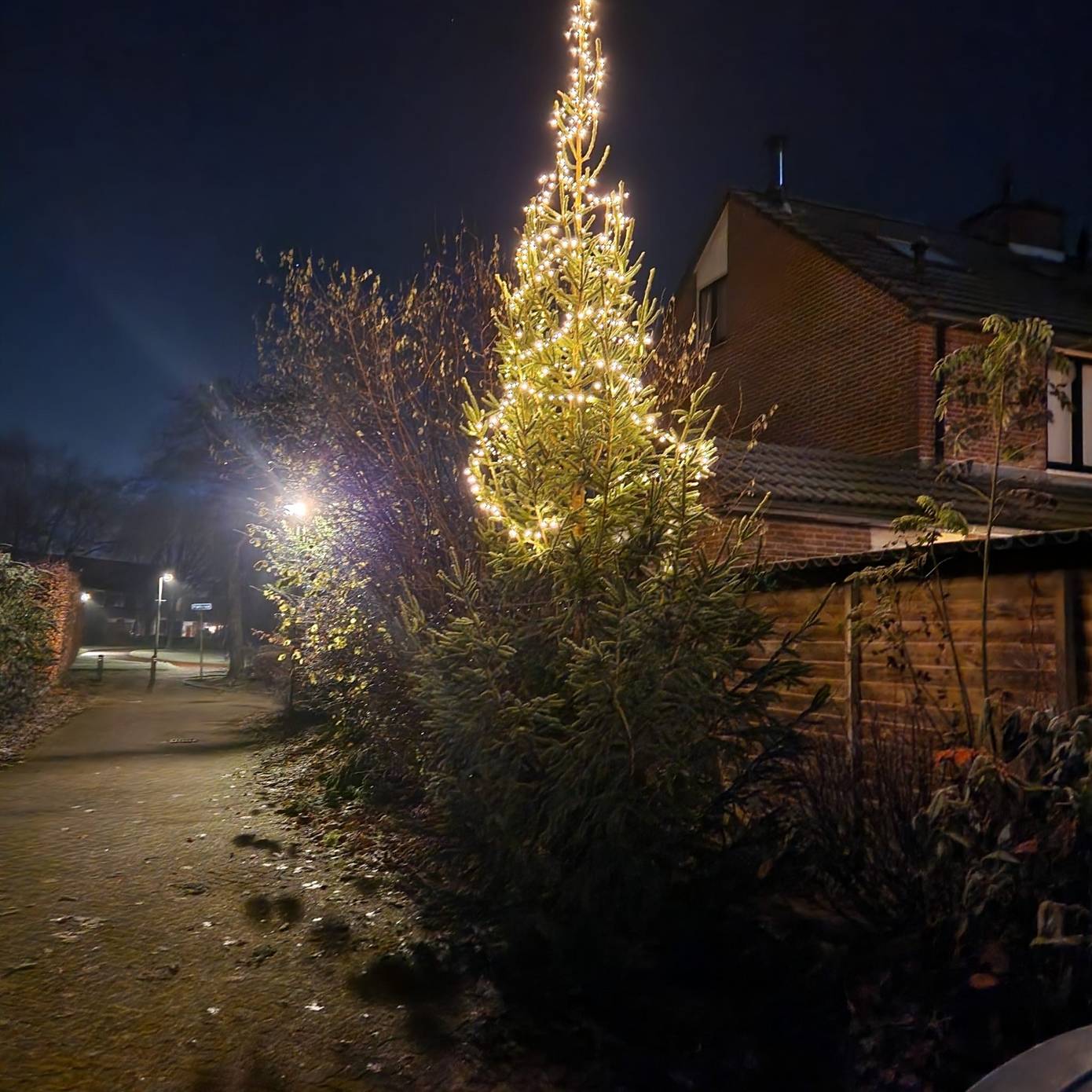 Kerstverlichting uit buurtkerstboom Nijstukken kapot getrokken