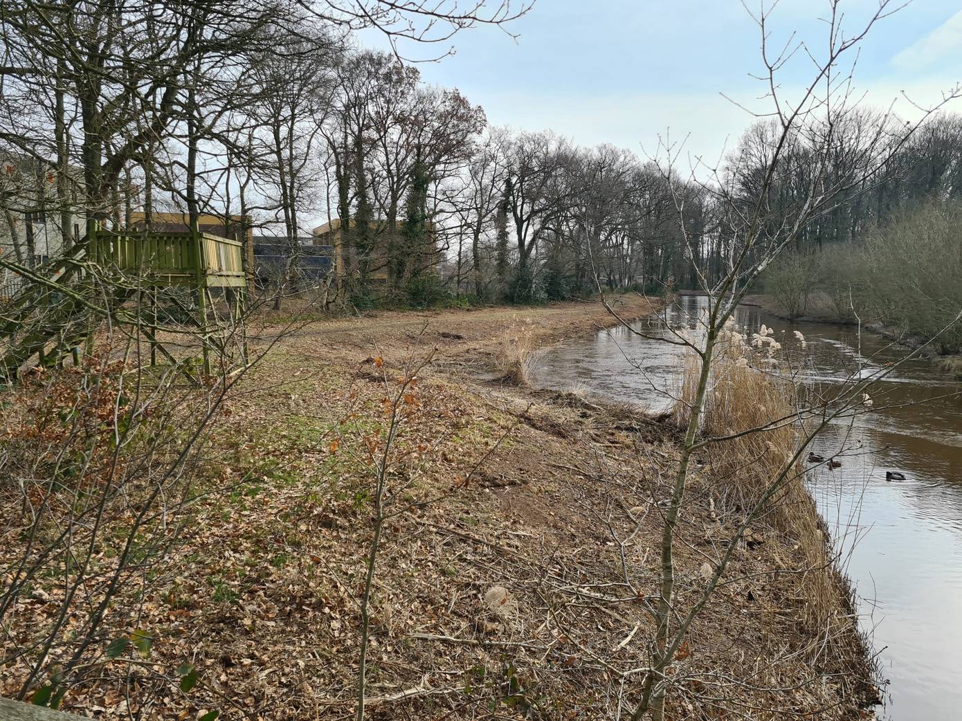 Kaalslag Lariksbos blijkt foutje