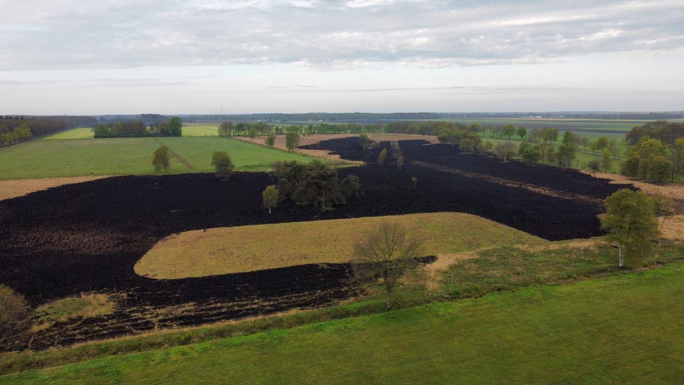 Tussen de 6 en 8 hectare natuur opgebrand afgelopen nacht tussen Assen en Bovensmilde