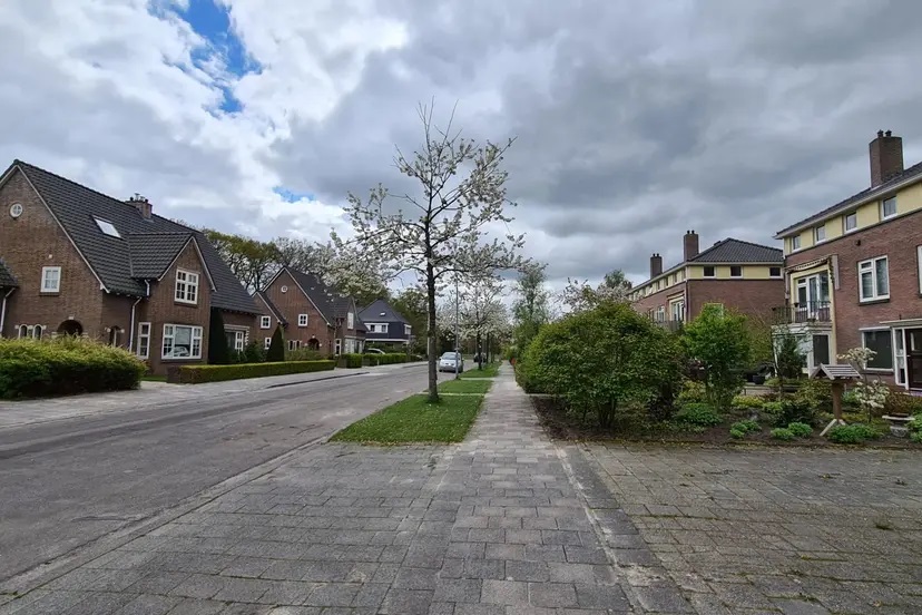 Vogelkerslaan wordt flink groener, buurtbewoners blij met participatie