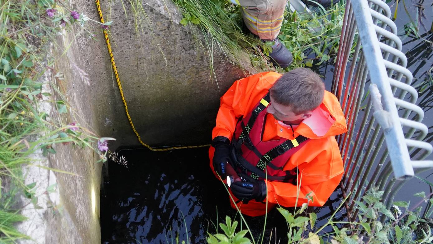 Brandweer redt vastzittende meerkoetjes uit duiker in Assen (Video)