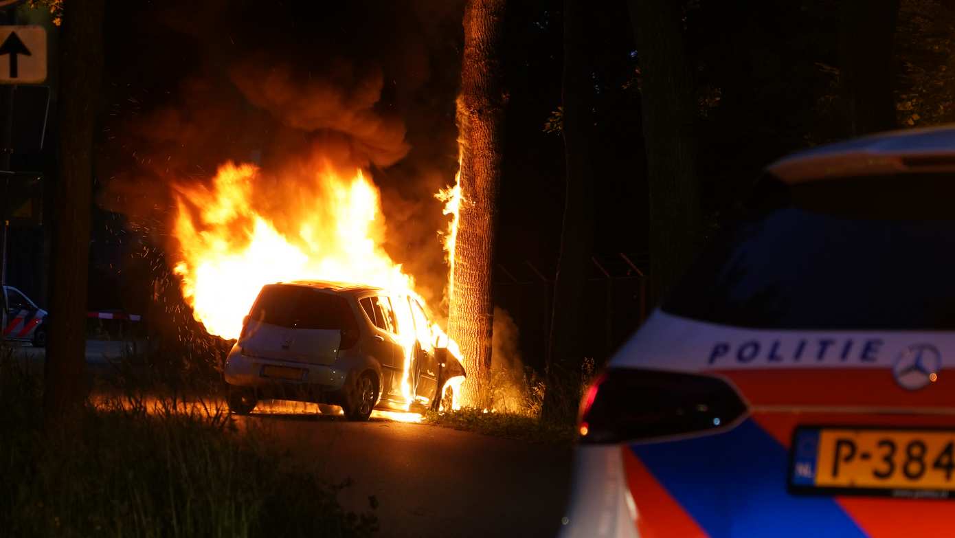 Auto botst tegen boom en vliegt in de brand