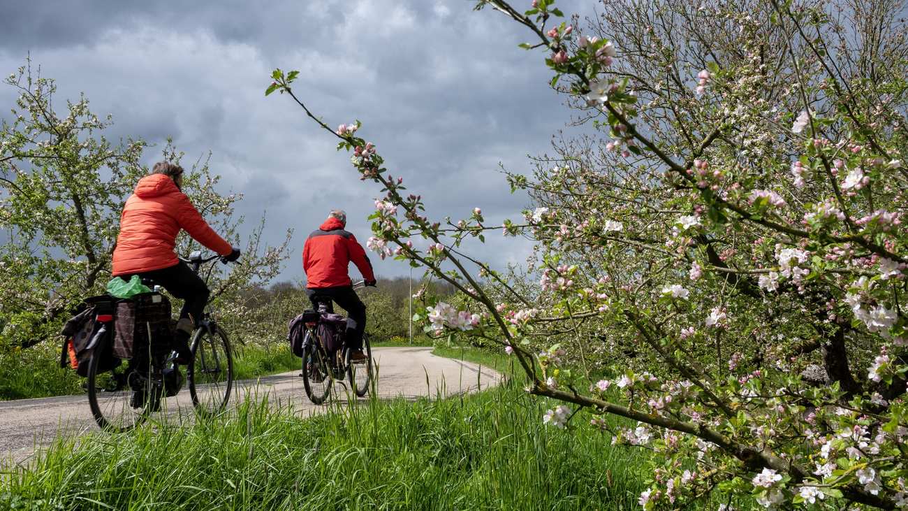 Activiteiten Commissie Peelo organiseert fietstocht vanaf 't Markehuus