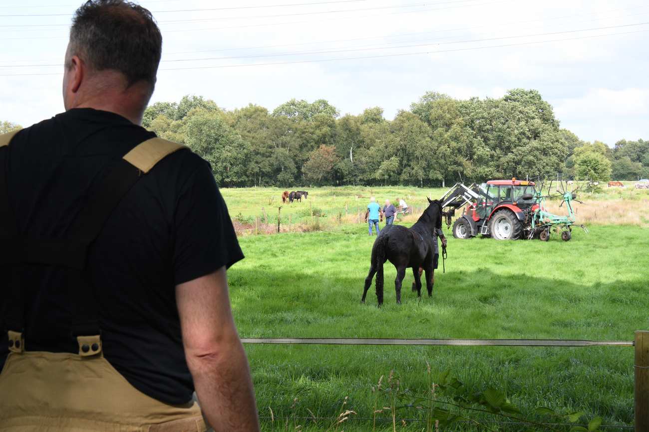 Brandweer redt samen met omstanders paard uit modderige sloot