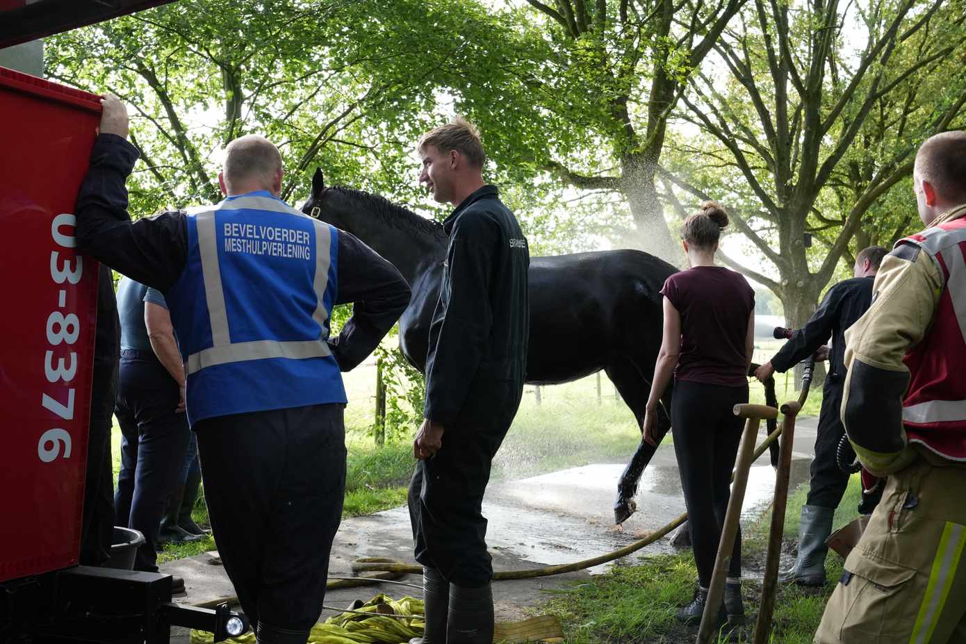 Brandweer redt paard uit sloot in Assen