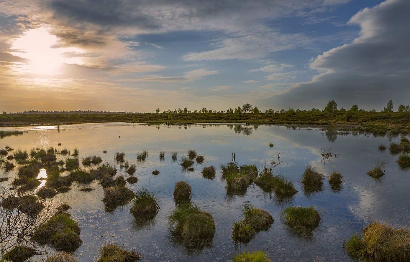 4 Tips voor een sportieve vakantie in de Ardennen