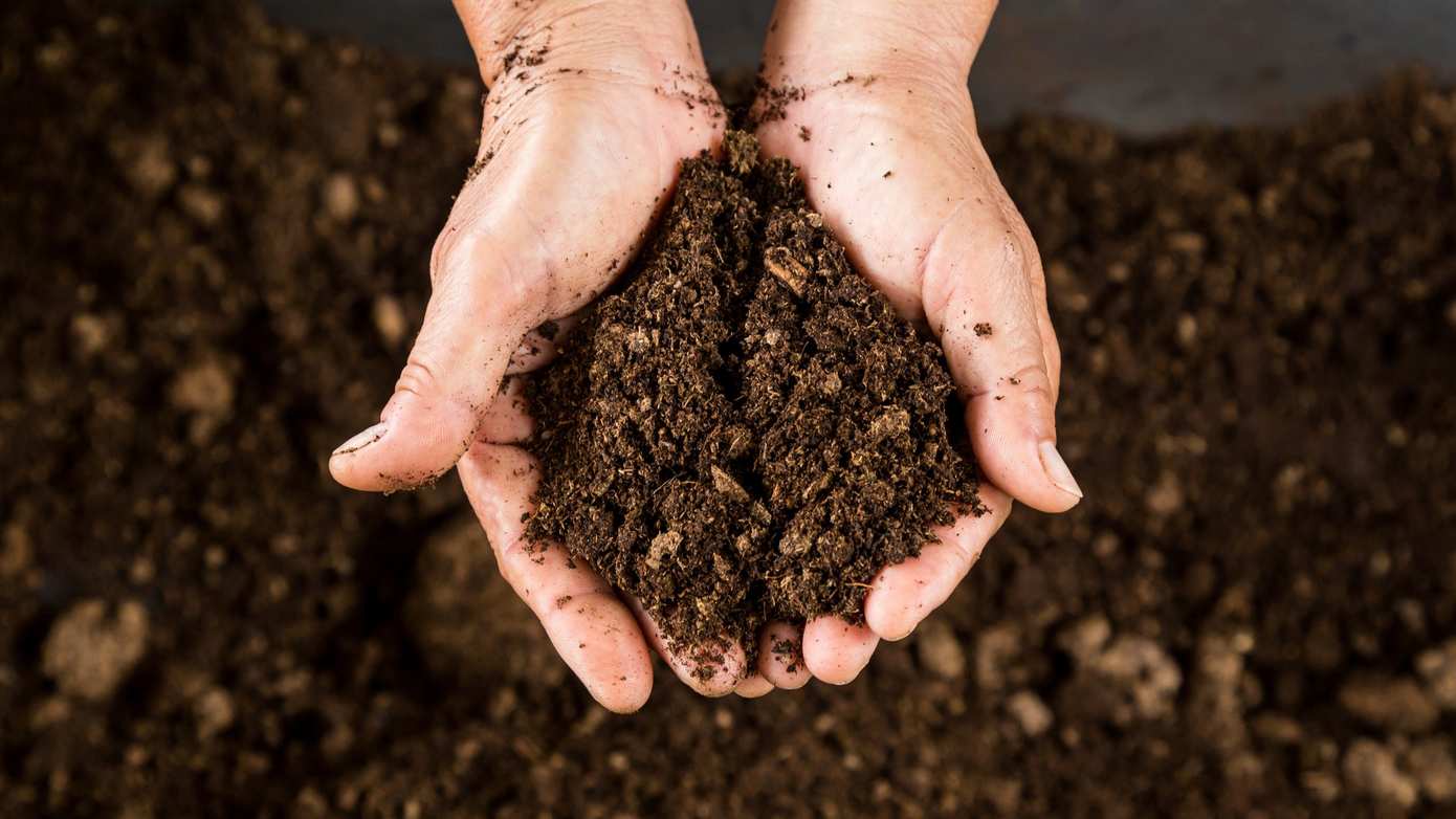 31ste Potgrondactie Asser Mannenkoor weer van start