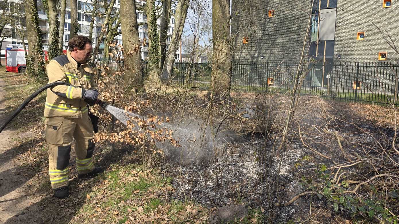 Tientallen vierkante meters bosschage in de brand in Lariksbos