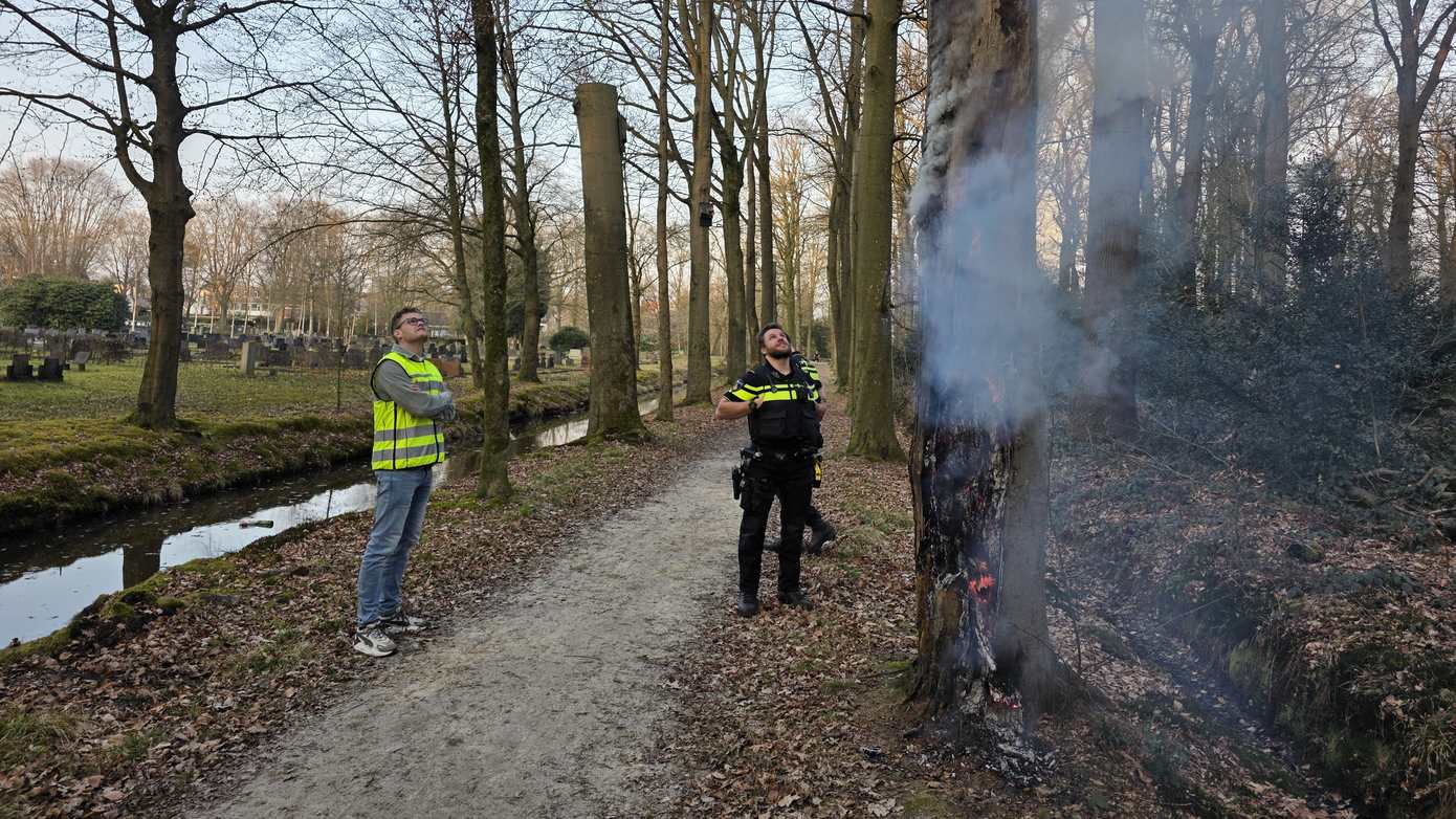 Brand in holle boom in Asserbos zorgt voor flinke rookontwikkeling