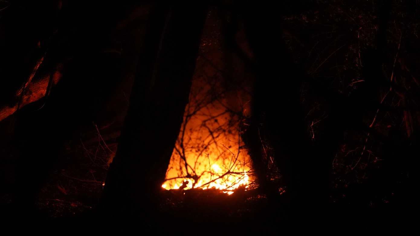 Trekkerband in brand gestoken in bos bij Marsdijk