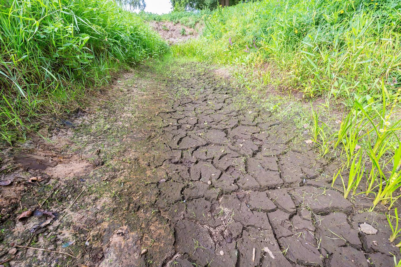 'Huidige droogte is zeer uitzonderlijk' 