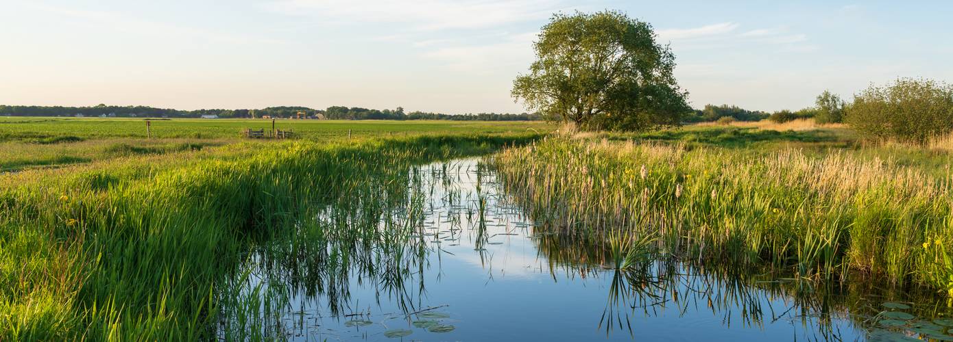 Waterschappen tegen Remkes: Zorg dat waterkwaliteit niet de volgende stikstofcrisis wordt